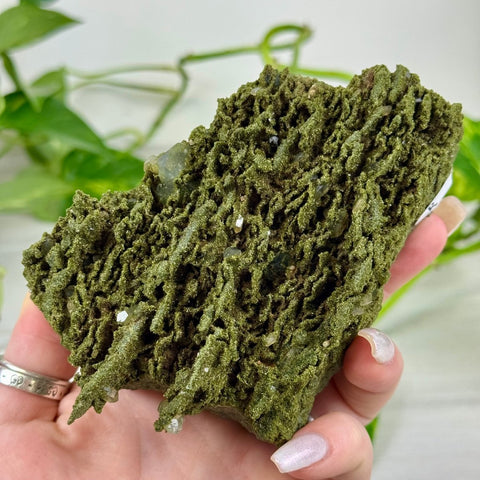 Fairy Forest Quartz R 18 - Kenna's Crystals from TikTok