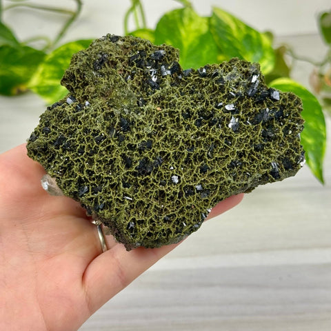 Fairy Forest Quartz S2 45 - Kenna's Crystals from TikTok