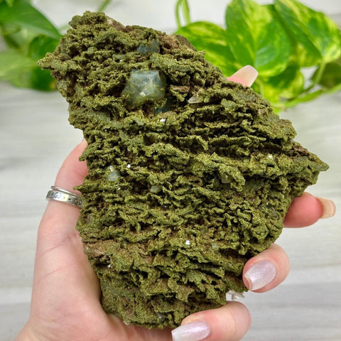 Fairy Forest Quartz T 20 - Kenna's Crystals from TikTok