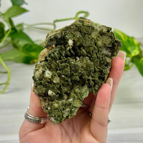 Fairy Forest Quartz Z2 52 - Kenna's Crystals from TikTok