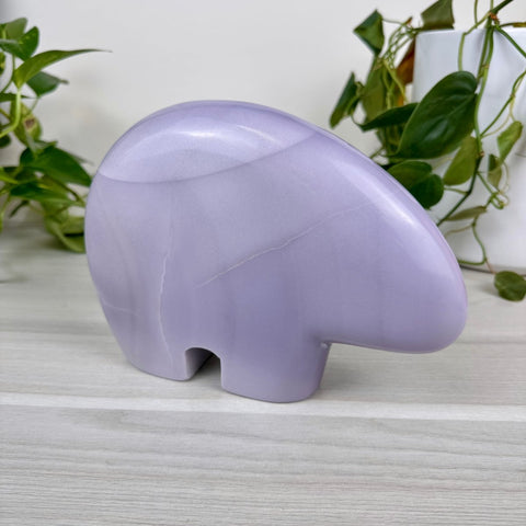 Felicia The Bear 1 - Kenna's Crystals from TikTok