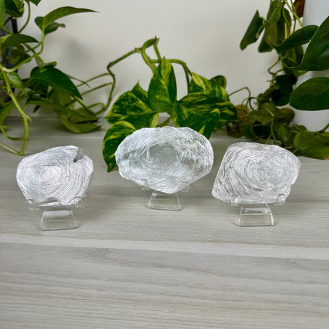 Fingerprint Selenite Slab 22 9 - Kenna's Crystals from TikTok