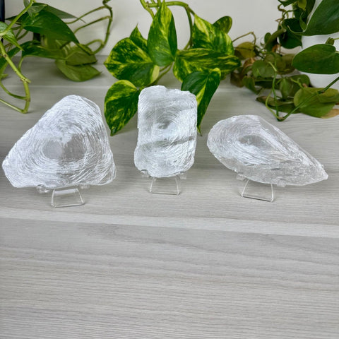 Fingerprint Selenite Slab 33 8 - Kenna's Crystals from TikTok