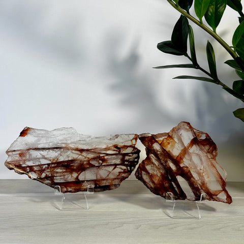 Two large, raw Fire Quartz slices with clear and reddish-brown layers on acrylic stands.