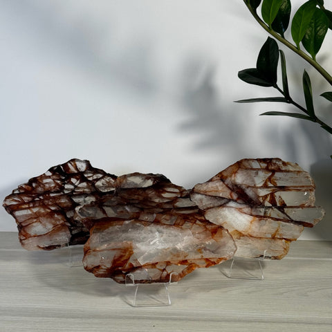Three unique Fire Quartz slices with clear and reddish-brown banding, displayed on acrylic stands.