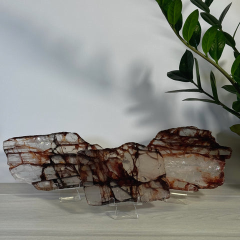 Three translucent Fire Quartz slices with striking red-brown veins on clear stands.