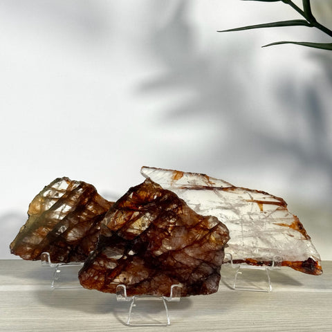 Three translucent Fire Quartz slices with red-brown inclusions, displayed on clear stands.