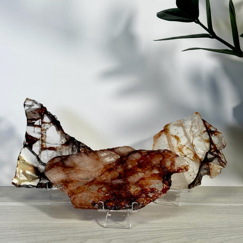 Fire Quartz slice with deep reddish-brown and clear white veins, displayed on a clear stand.