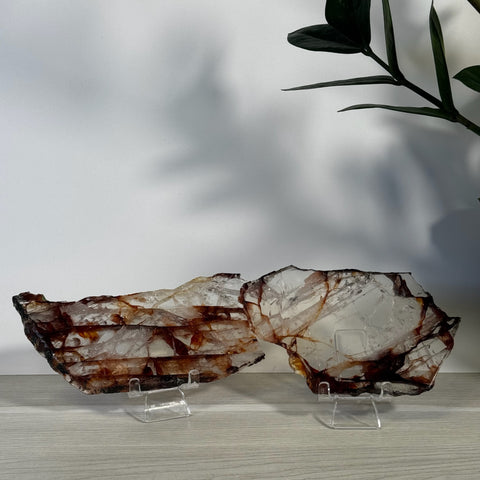 Two translucent fire quartz slices with red-brown banding, displayed on clear stands.