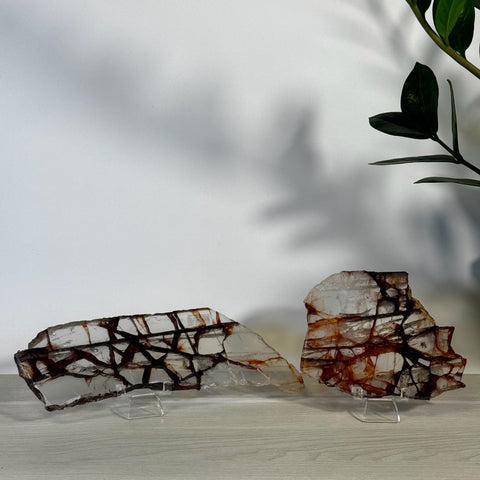 Two clear Fire Quartz slices with dark red-brown inclusions, displayed on stands.