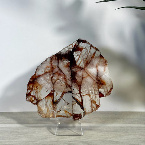 Large, clear Fire Quartz slice with striking reddish-brown inclusions on a clear stand.