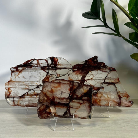 Three clear Fire Quartz slices with deep red and brown inclusions, displayed on stands.