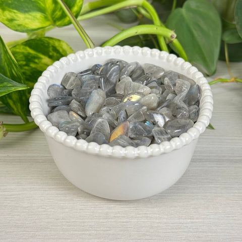 Flashy Labradorite Chips (100g) 1 - Kenna's Crystals from TikTok