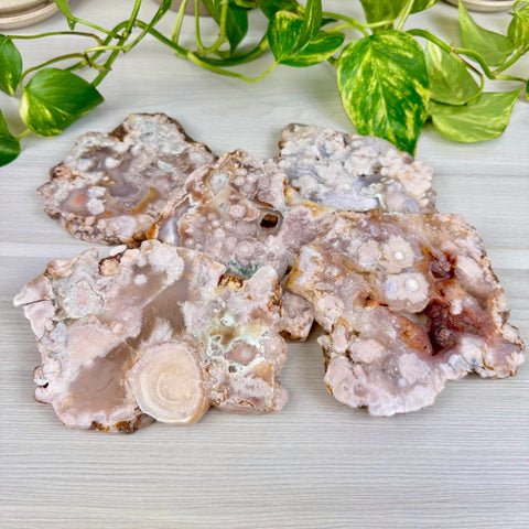 Flower Agate Slab 44 2 - Kenna's Crystals from TikTok