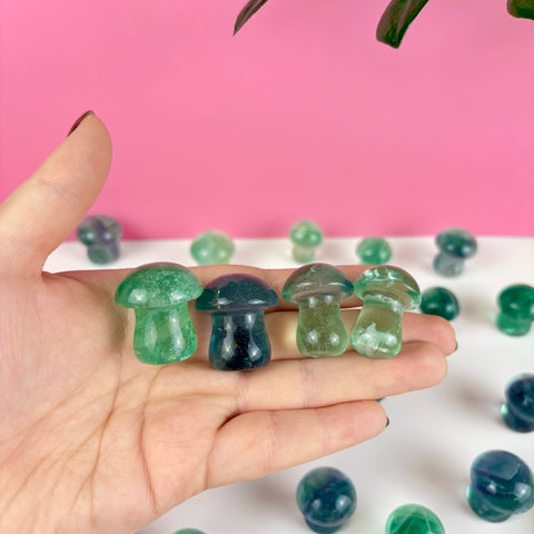 Poison Fluorite Mushroom - Kenna's Crystals