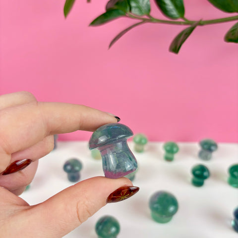 Poison Fluorite Mushroom - Kenna's Crystals