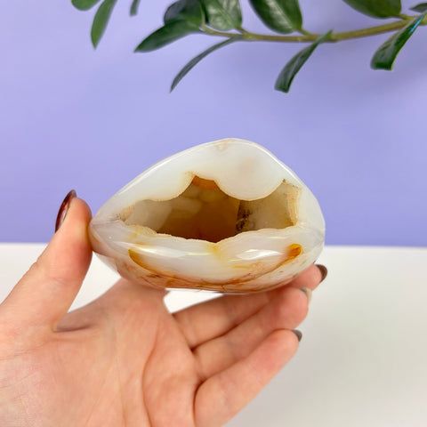 Polished white and orange druzy agate turtle shell carving held in a hand against a purple background.