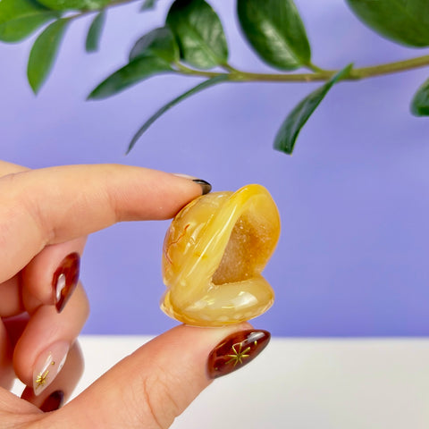 Handheld yellow druzy agate carved into a polished turtle shell shape with a sparkling crystalline center.