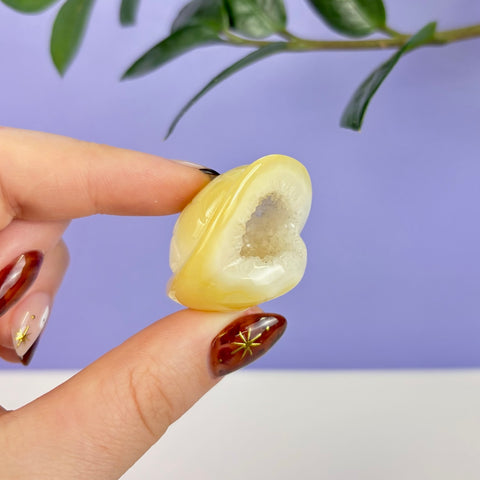 Handheld yellow druzy agate carved into a smooth, polished turtle shell shape with a sparkling crystal center.
