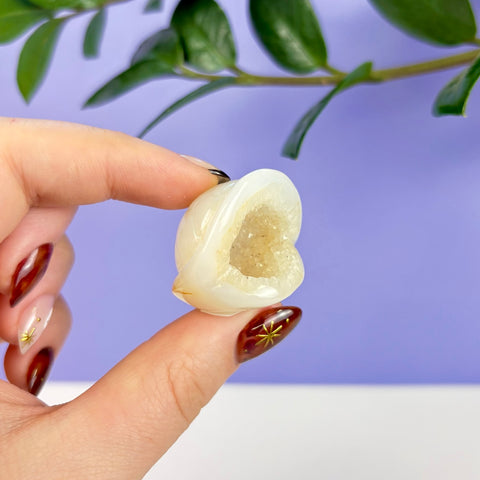 Small white druzy agate carved into a smooth, polished flying turtle shell held between fingers.