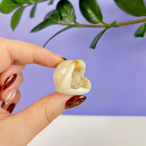 Small cream-colored druzy agate carved into a flying turtle shell shape held between fingers.