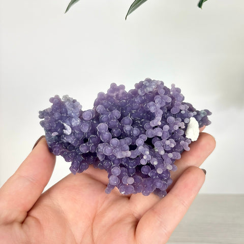 Hand holding a cluster of deep purple grape agate with translucent, spherical botryoidal crystal formations.