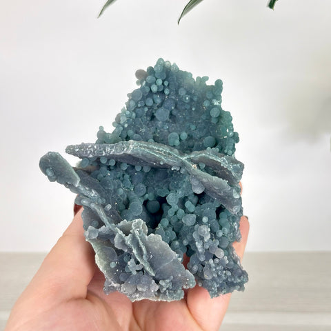 Hand holding a dark teal grape agate cluster with spherical, bubbly crystal formations and layered mineral plates.