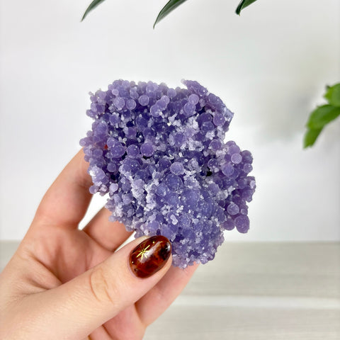 Hand holding a cluster of deep purple grape agate with botryoidal, berry-like crystal formations.