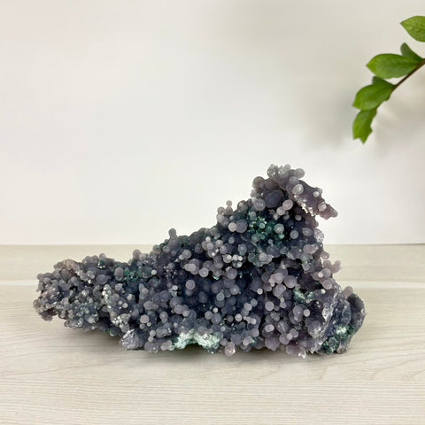 Deep purple grape agate cluster featuring botryoidal crystal formations on a light wooden surface.