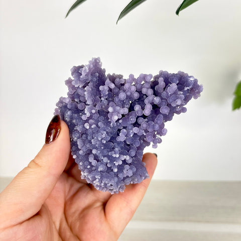 Hand holding a vibrant purple grape agate crystal cluster with distinct botryoidal, sphere-like formations.