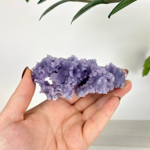 Hand holding a cluster of raw, deep purple grape agate with a sparkling, botryoidal crystal texture.