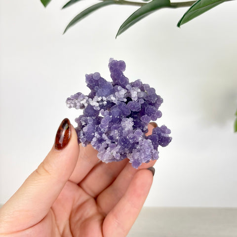 Hand holding a cluster of deep purple grape agate with small, bubbly botryoidal crystal formations.