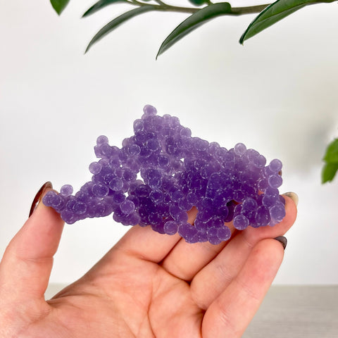 Hand holding a cluster of translucent, deep purple grape agate crystals with a unique spherical, bubbly texture.