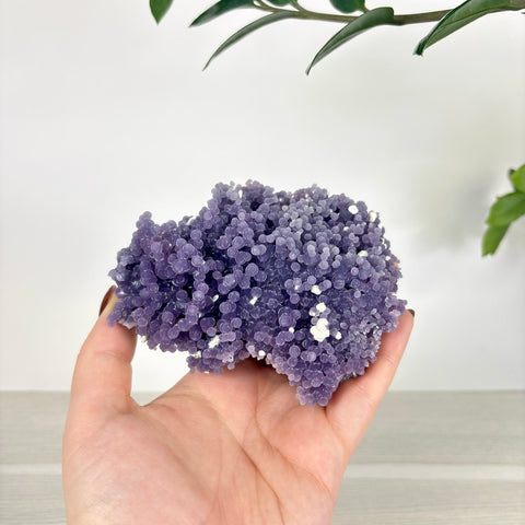 Hand holding a cluster of deep purple grape agate with small, translucent spherical crystals and white mineral accents.