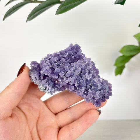 Hand holding a cluster of vibrant purple grape agate with small, spherical botryoidal crystal formations.