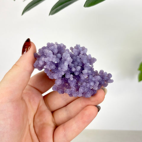 Hand held cluster of translucent purple grape agate with small, spherical botryoidal crystal formations.
