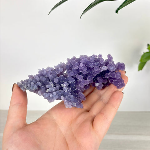 Hand holding a cluster of deep purple grape agate with spherical, translucent crystal formations.