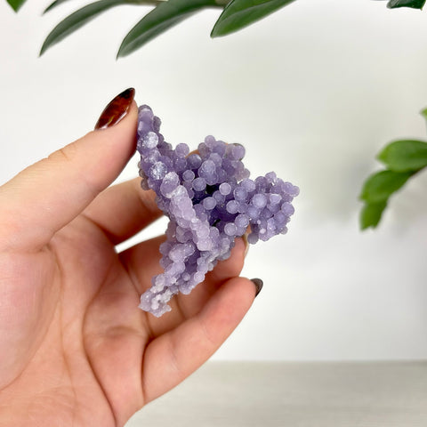 Hand holding a cluster of raw, deep purple grape agate with small, spherical crystal formations.
