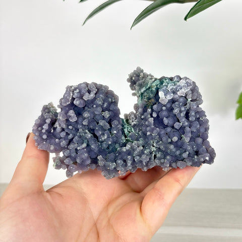Hand holding a cluster of deep purple grape agate with botryoidal, berry-like crystal formations and green mineral accents.