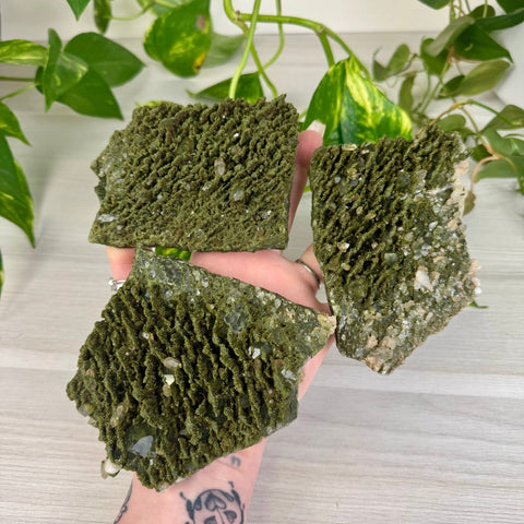 Forest Quartz 111 11 - Kenna's Crystals from TikTok