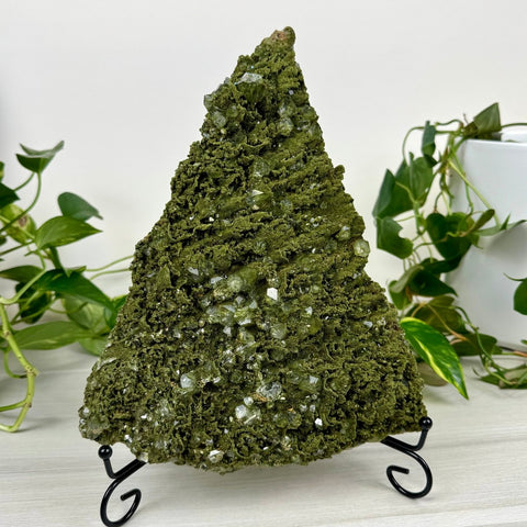 Forest Quartz 1155 1 - Kenna's Crystals from TikTok