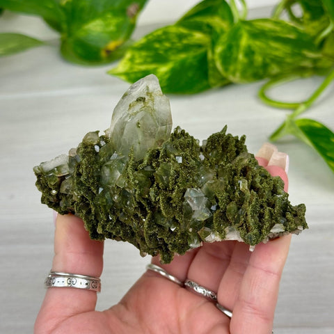 Forest Quartz 122 12 - Kenna's Crystals from TikTok