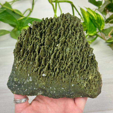 Forest Quartz 222 18 - Kenna's Crystals from TikTok