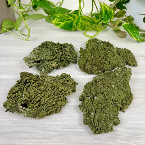 Forest Quartz 255 20 - Kenna's Crystals from TikTok