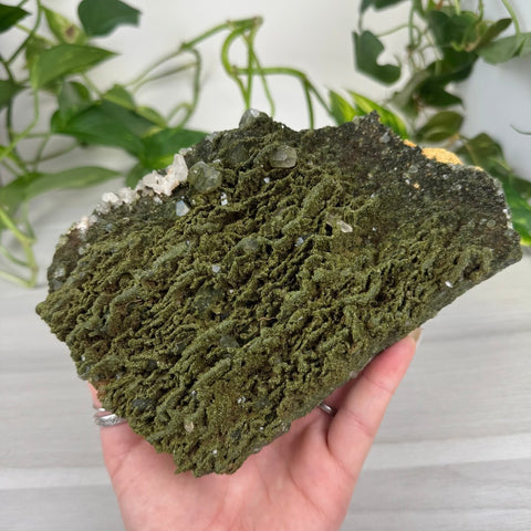 Forest Quartz 288 20 - Kenna's Crystals from TikTok