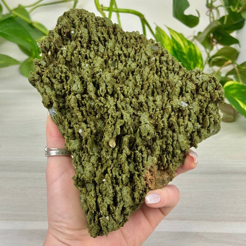 Forest Quartz 333 25 - Kenna's Crystals from TikTok