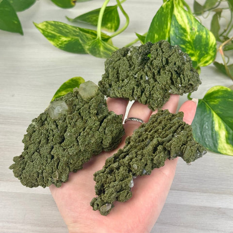 Forest Quartz 55 6 - Kenna's Crystals from TikTok