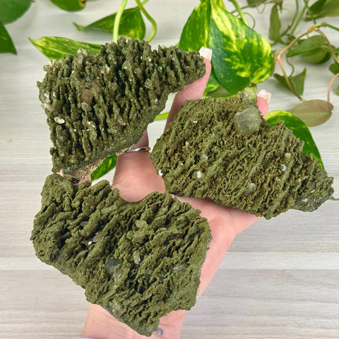 Forest Quartz 99 10 - Kenna's Crystals from TikTok