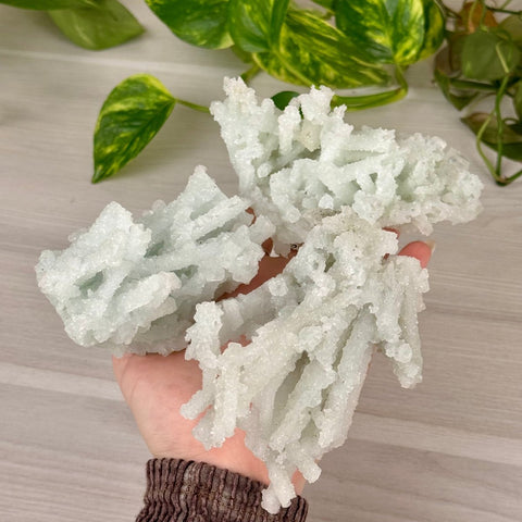 Frozen Key Lime Prehnite Specimen 133 1 - Kenna's Crystals from TikTok