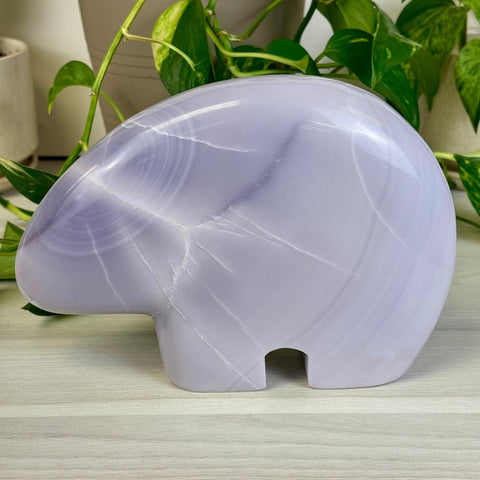 Gabriela The Bear 1 - Kenna's Crystals from TikTok